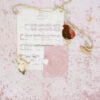 pink-velvet-to-have-and-to-hold-vow-book