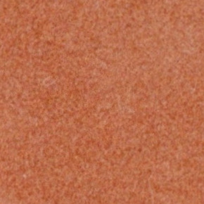 cinnamon velvet